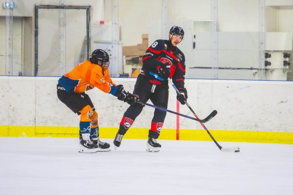 20260117_223446_Hawks vs Agyusok_Agyusok2025-26_MateB